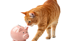 Перезагрузись - пройди чекап до -20%